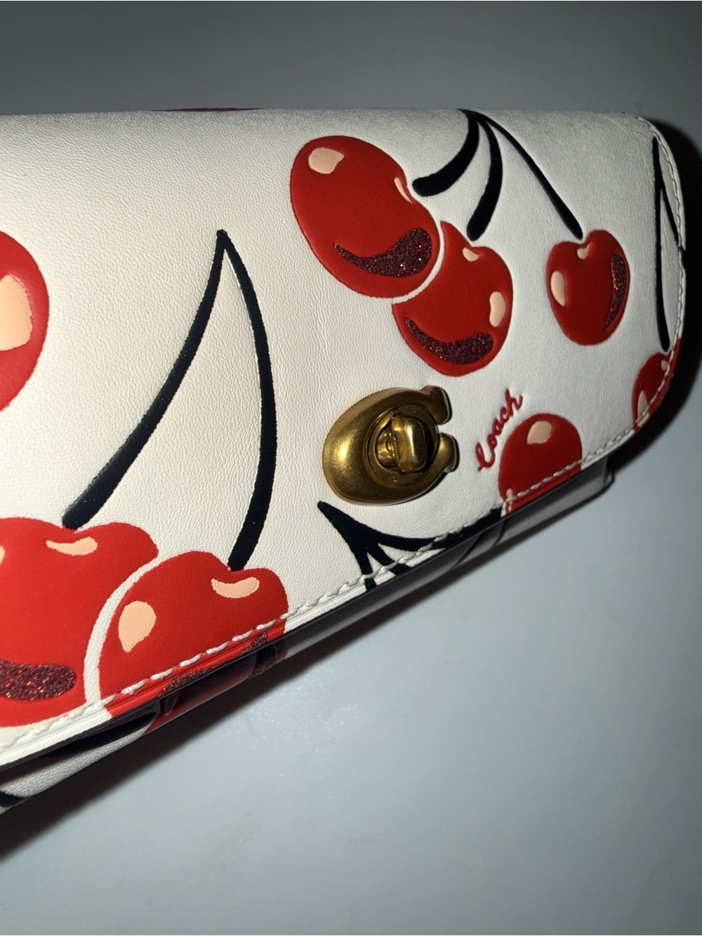 NWT Coach Cherry-Print Eye Glasses Case - Picture 7 of 9